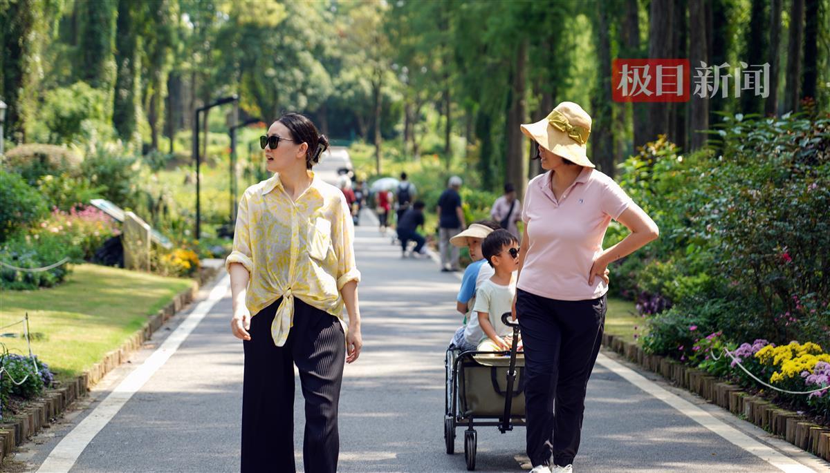 合乐网页版登录